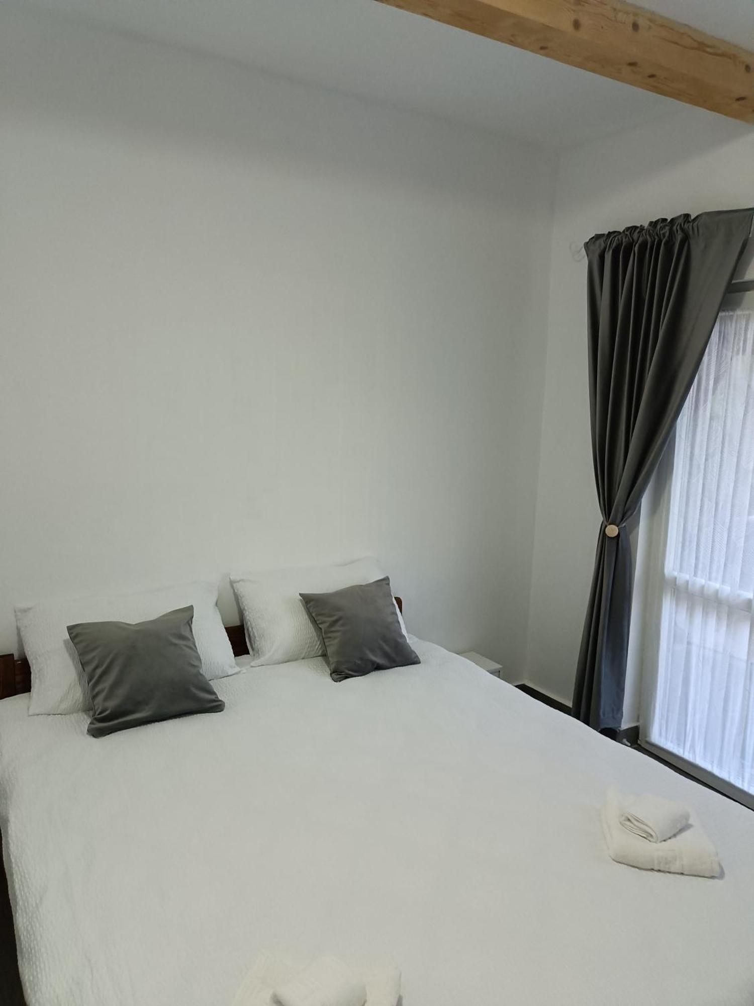 Casa Valentina Hotel Viseu de Sus Luaran gambar